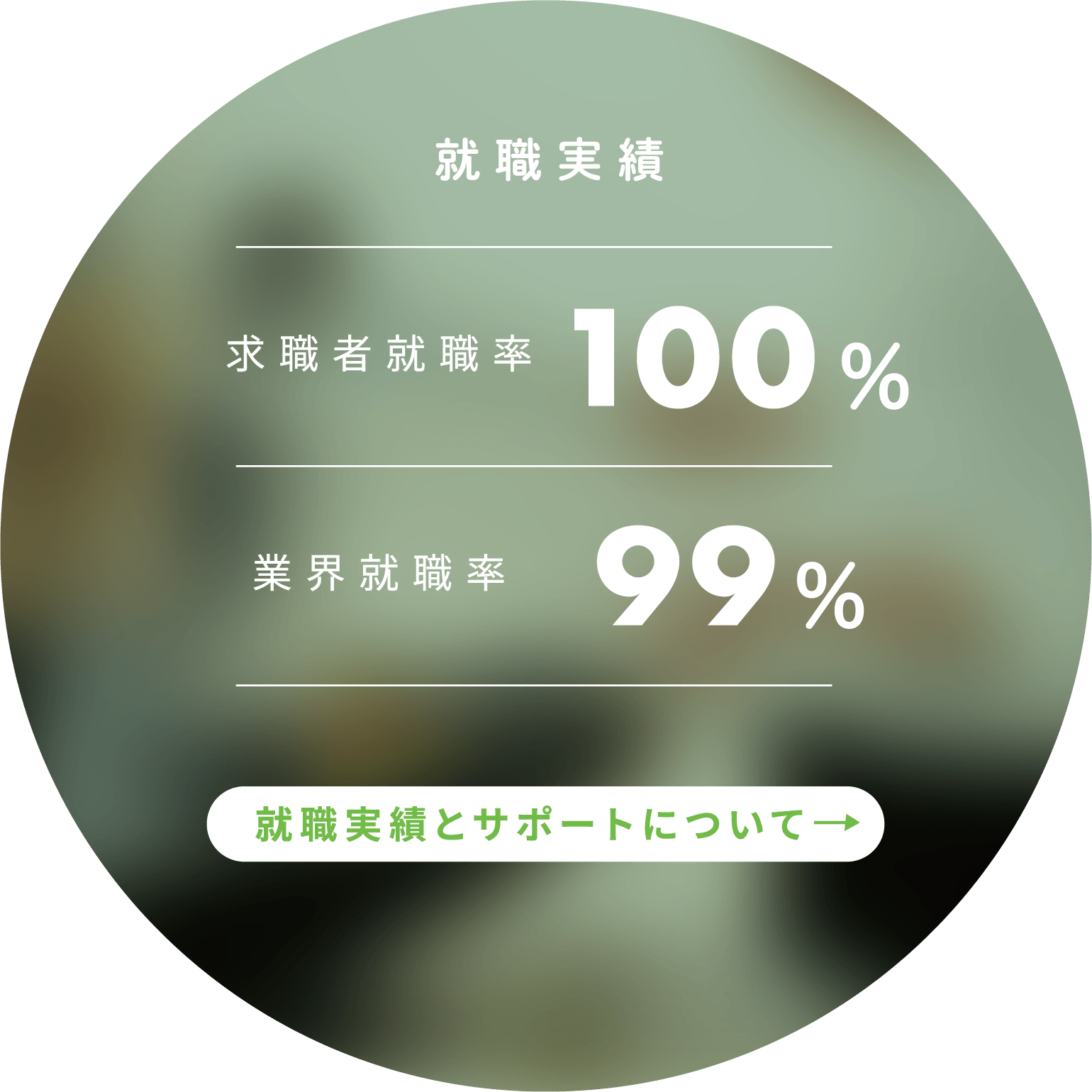 就職実績