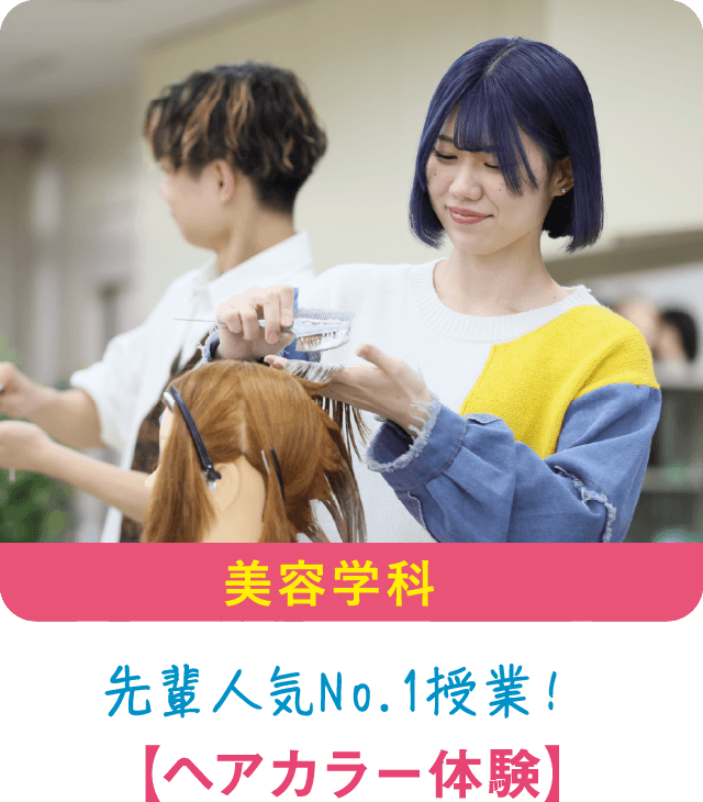 美容学科