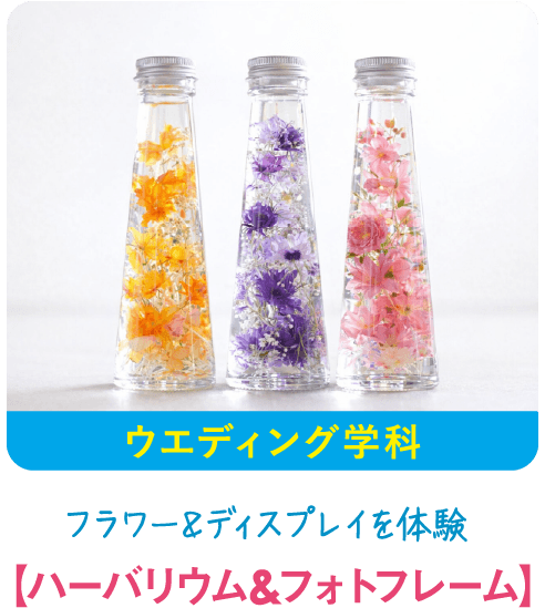 ウェディング学科