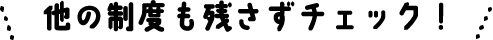 他の制度も残さずチェック