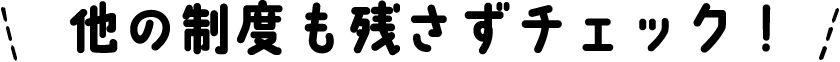 他の制度も残さずチェック