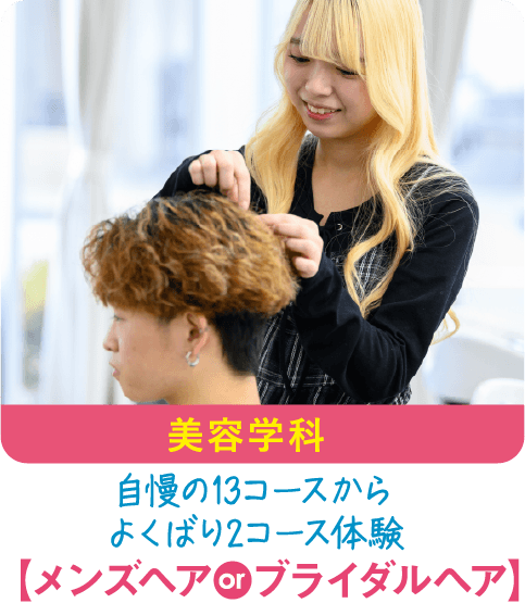 美容学科