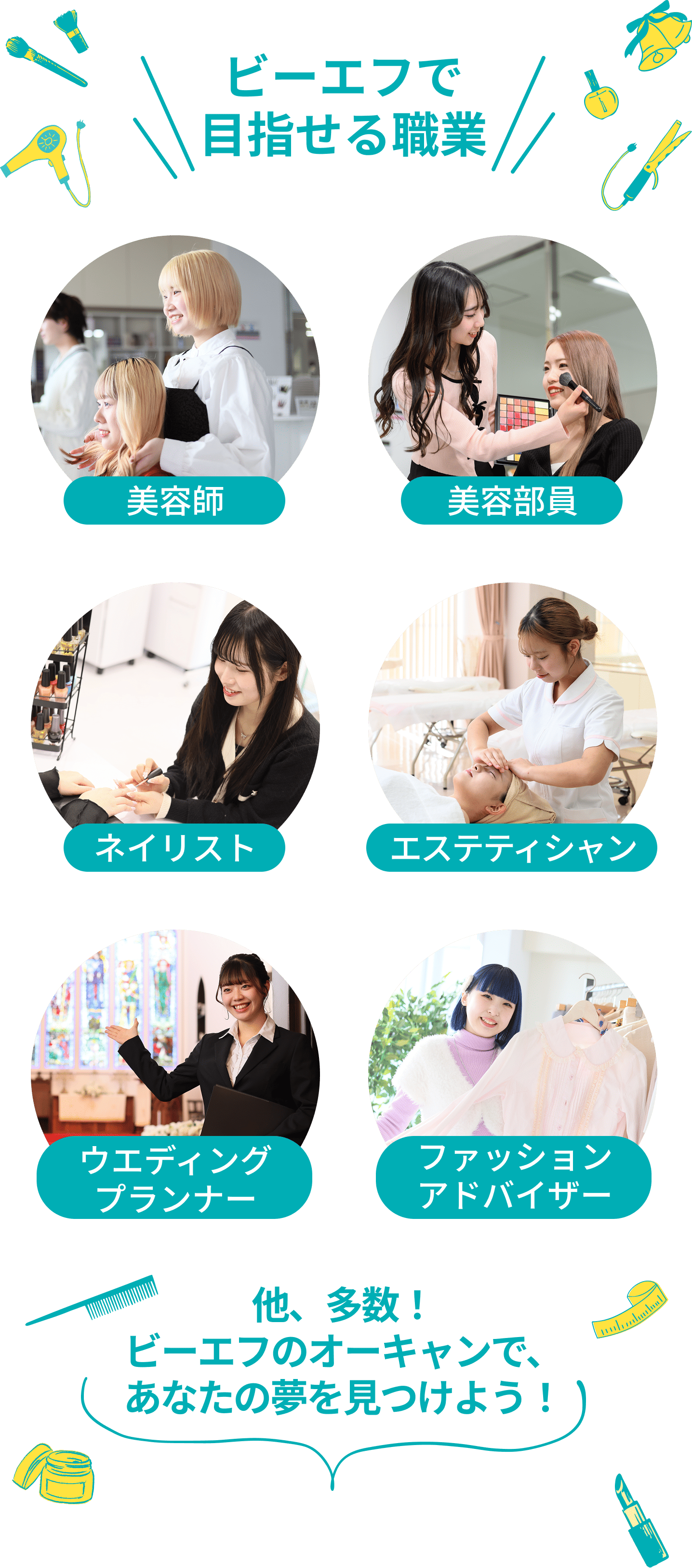 ビーエフで目指せる職業