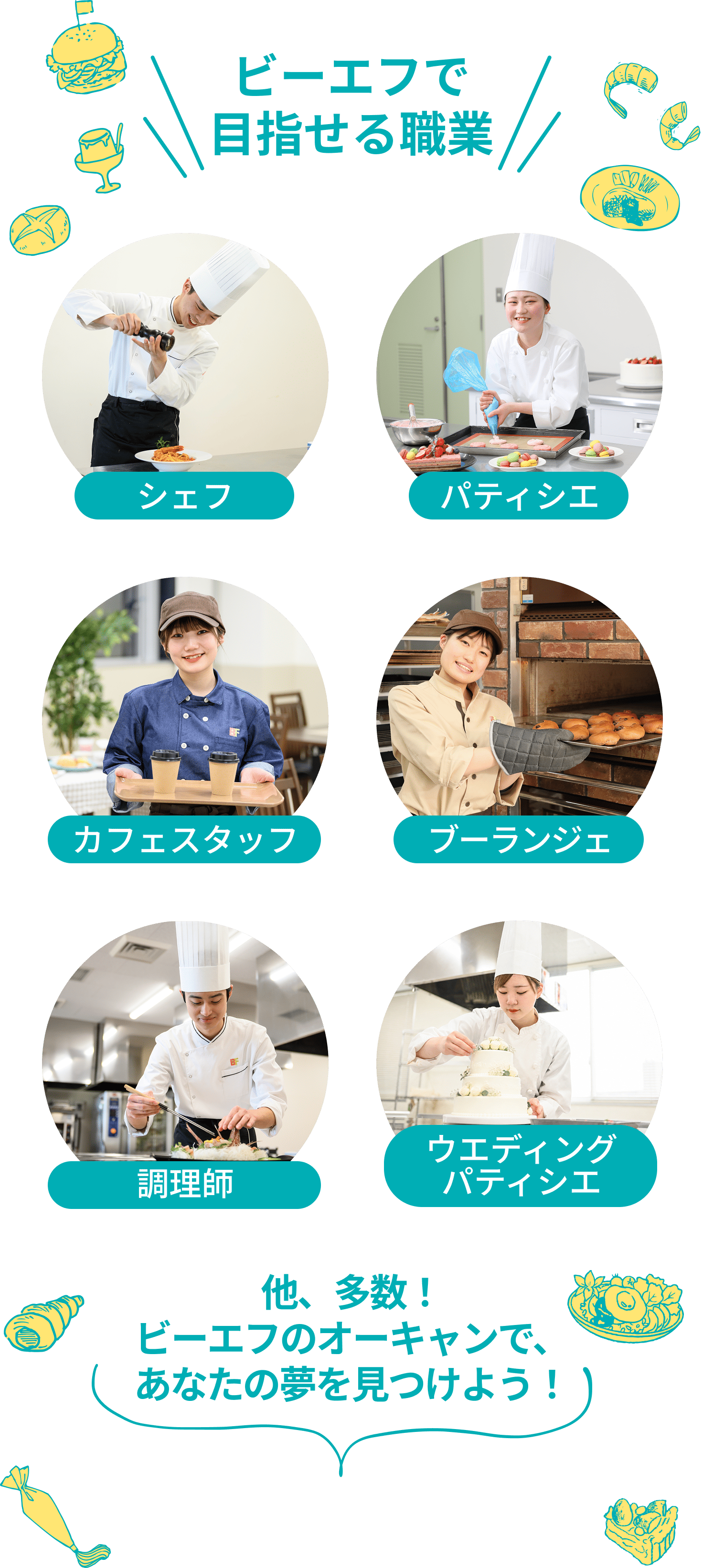 ビーエフで目指せる職業